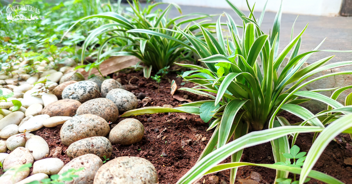 Plants and landscape stone