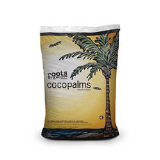 cocopalms