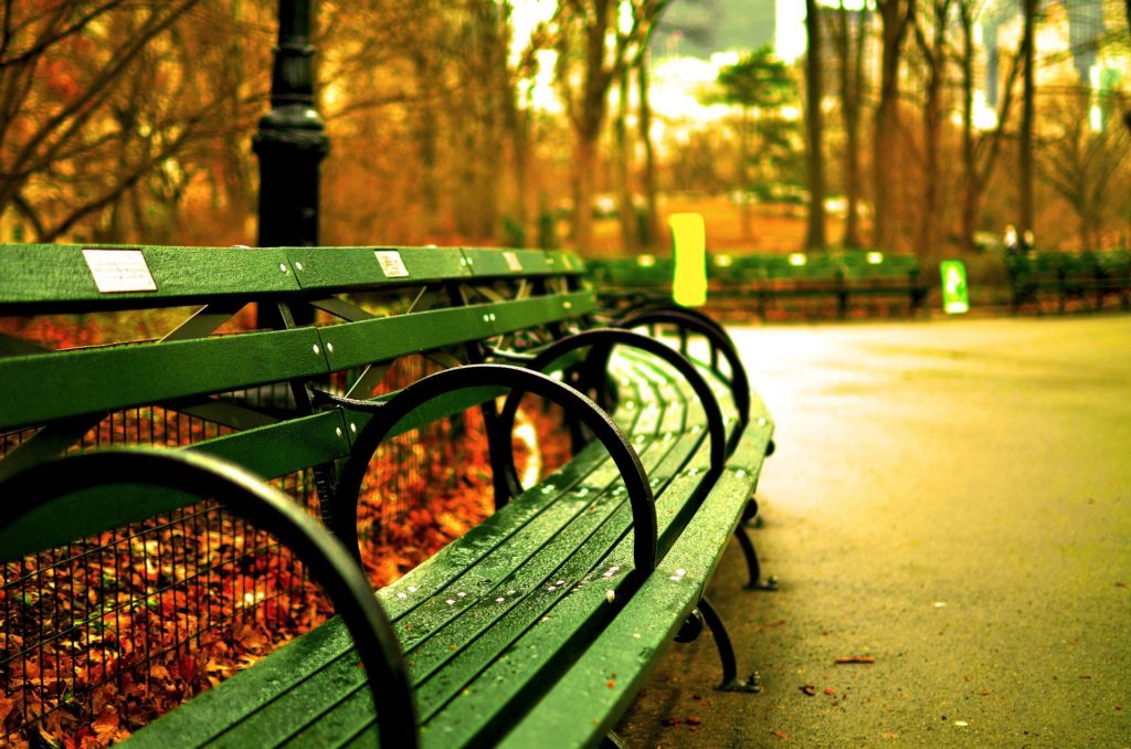 central-park-535645_1920-1024x678