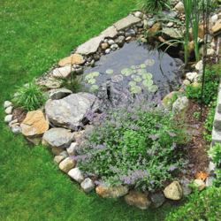 Minick_-_Shopping_List_-_Koi_Pond
