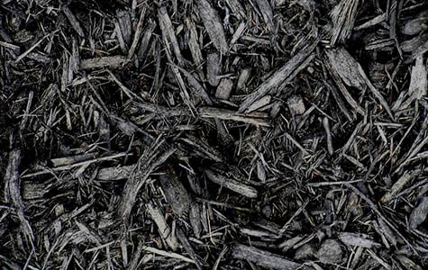 blackmulch