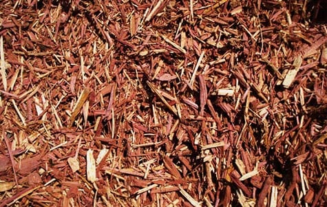 cedarmulch3