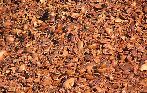 pecanhulls