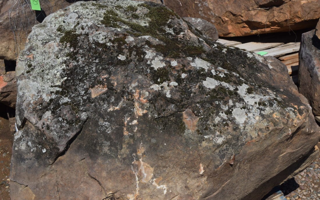 moss-boulders-1-e1535489745717