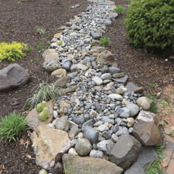 Shopping_List_Dry_Creek_Bed