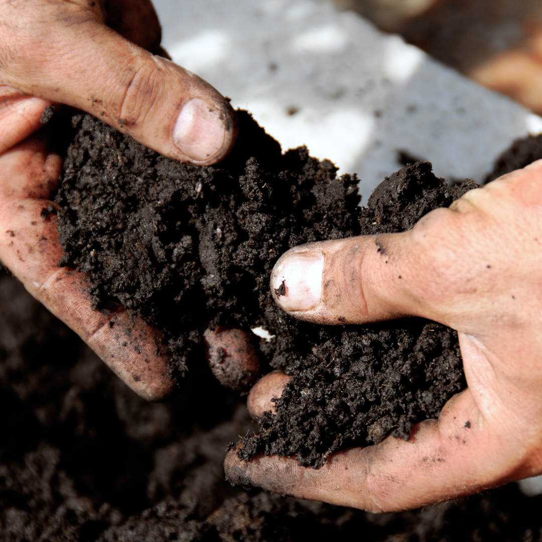 breaking-top-soil-with-hands
