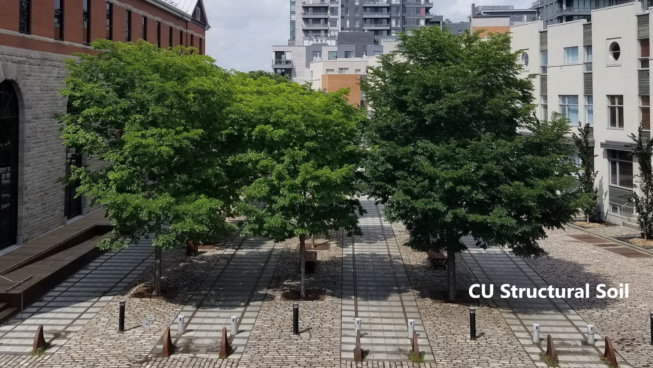 Square Dalhousie- Montreal 2018 Square Dalhousie- Montreal 2018