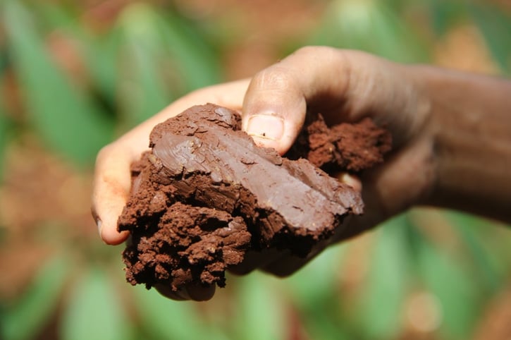How to Improve Clay Soil with Compost and Amendments