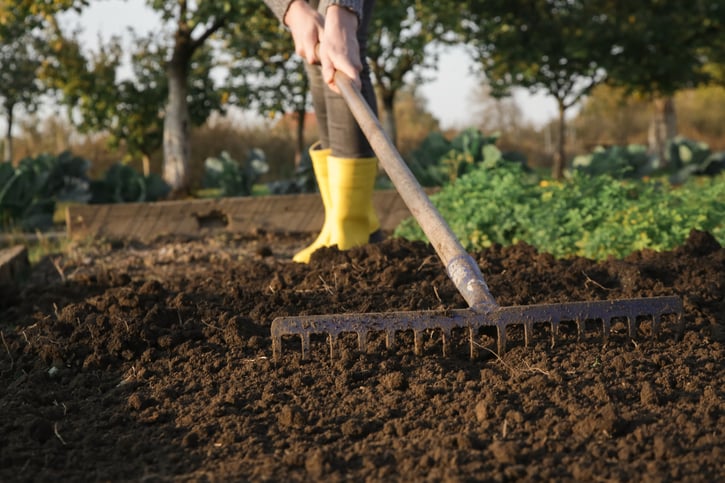 Compost vs. Topsoil: Which Do You Need for Your Project?