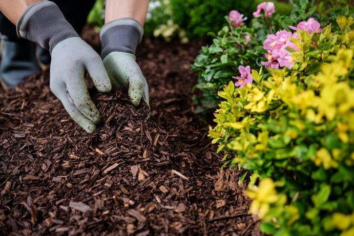Fall Landscaping Tips to Set Your Yard Up for Spring Success