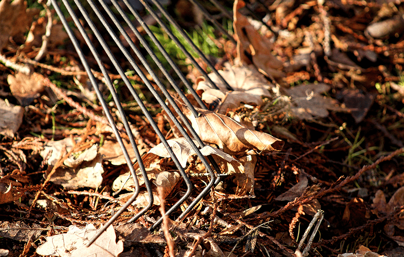 Recycling-yard-waste