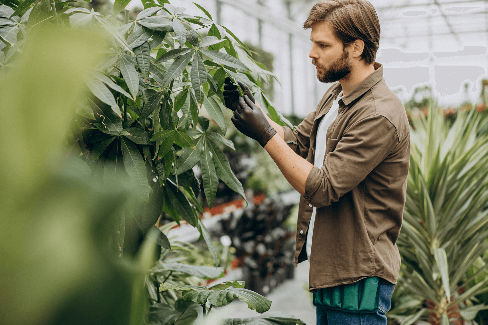 com-grower-banner-img