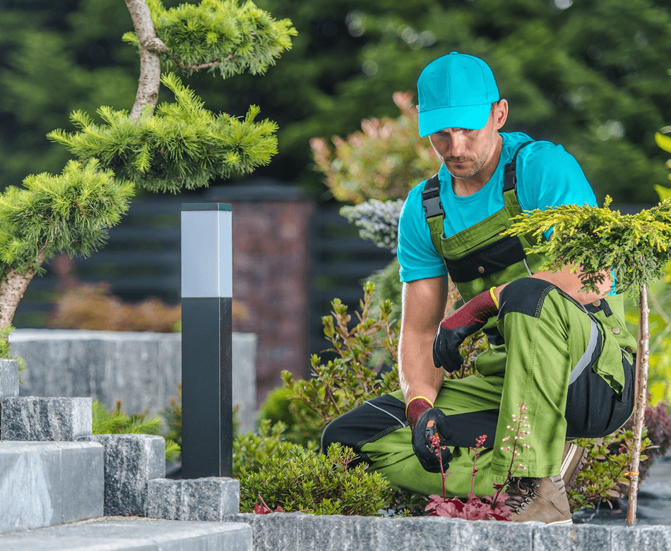 contractor-bottom-img