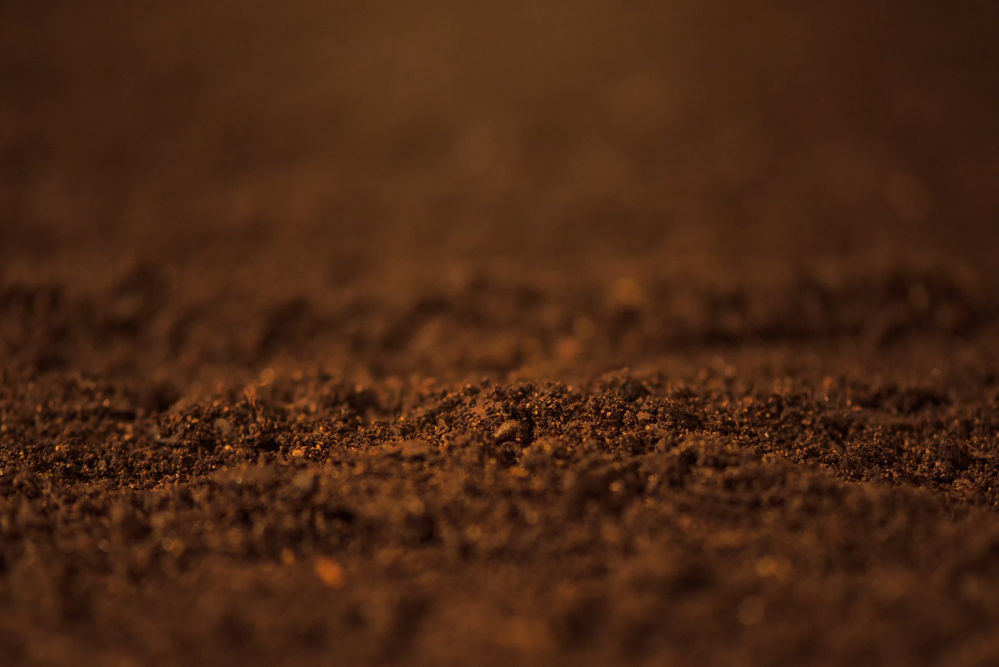 soil-close-up-2023-11-27-05-29-25-utc soil-close-up-2023-11-27-05-29-25-utc