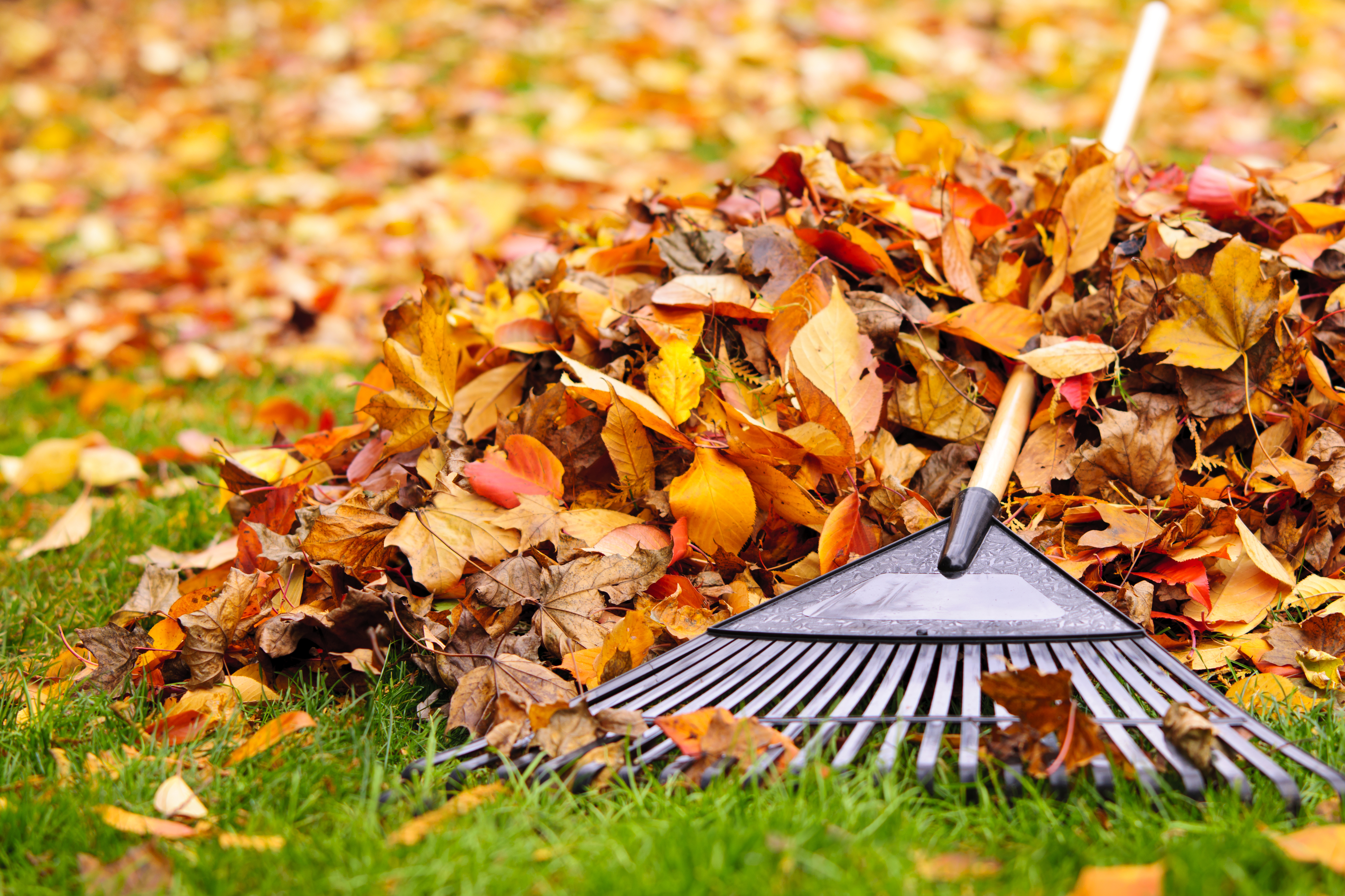 AdobeStock_46805286 AdobeStock_46805286