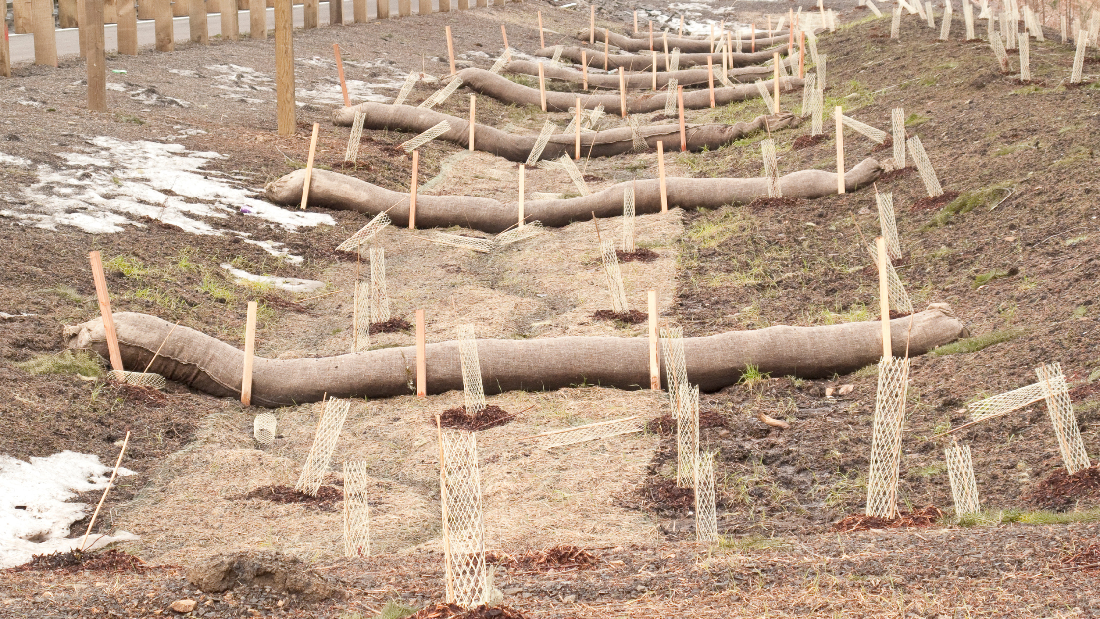 Erosion Control 101: How Compost Can Protect Your Soil and Waterways