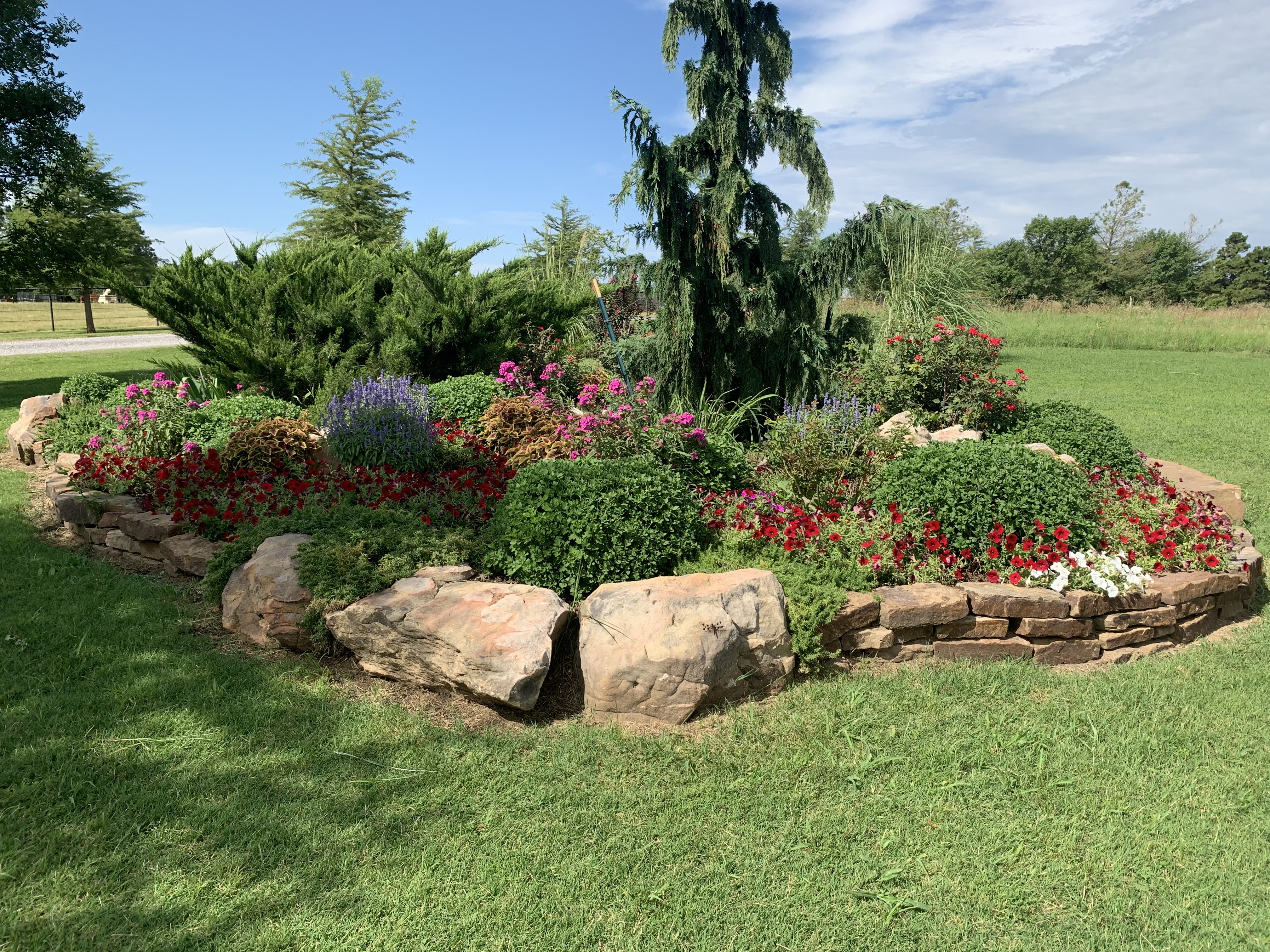 What is Garden Soil? A Complete Guide to Types, Uses, and Benefits