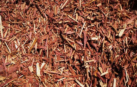 The Role of Mulch in Commercial Landscaping