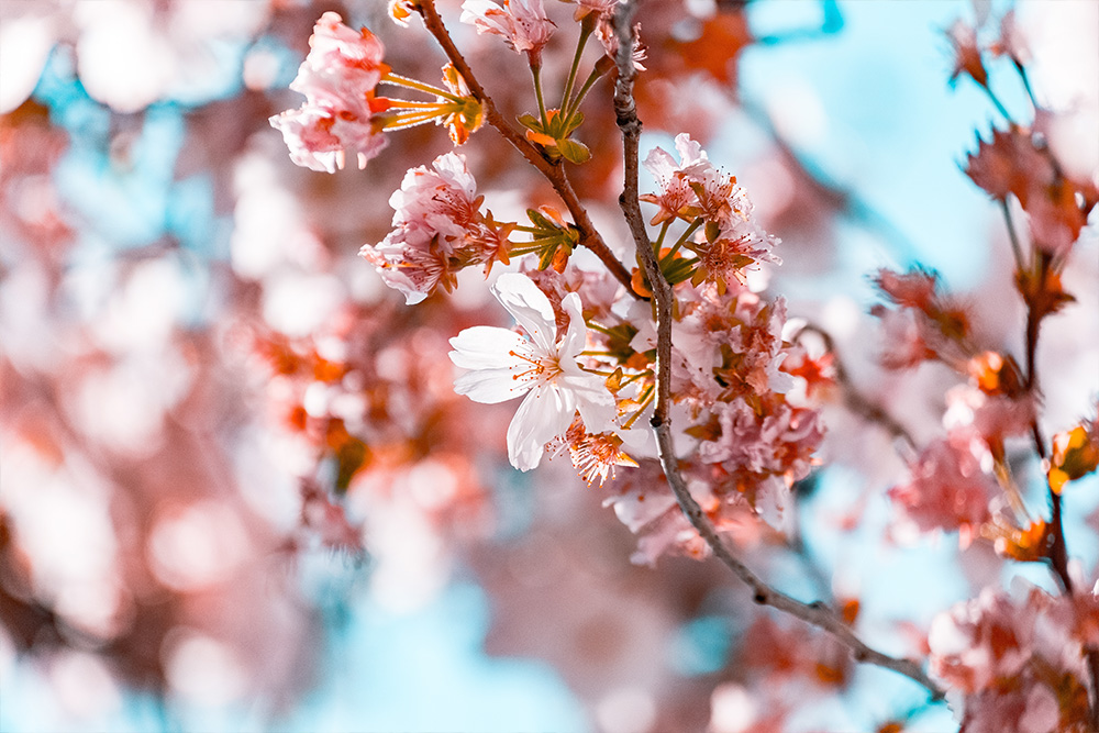 Spring Means a Busy Growing Season is Coming